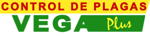 Logo VegaPlus